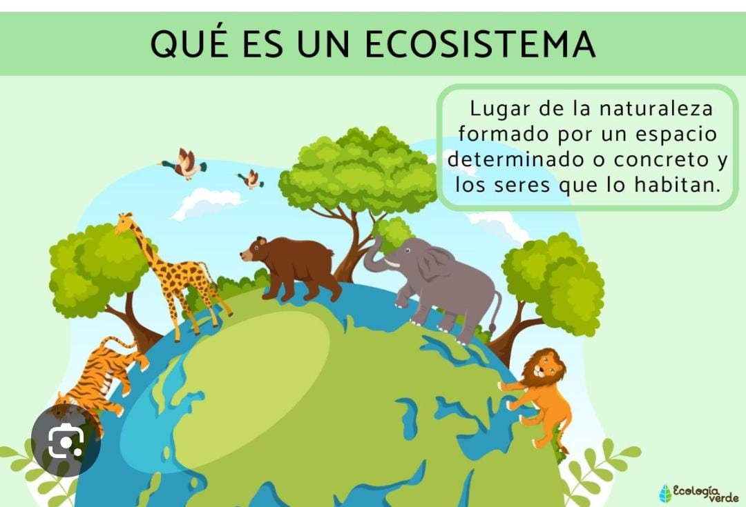 INTEGRACIÓN DEL ECOSISTEMA